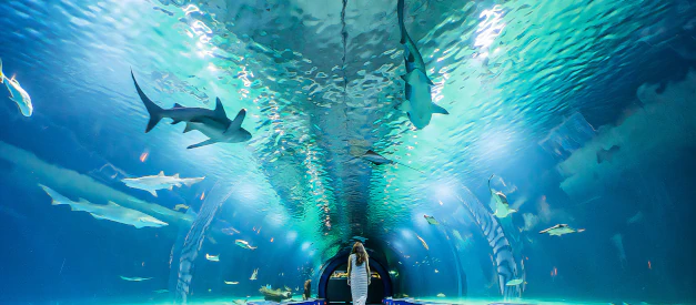 Oceanário de Lisboa